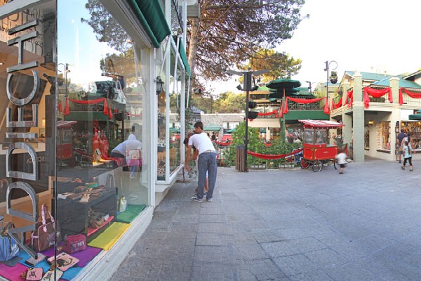 Feria del Bosque