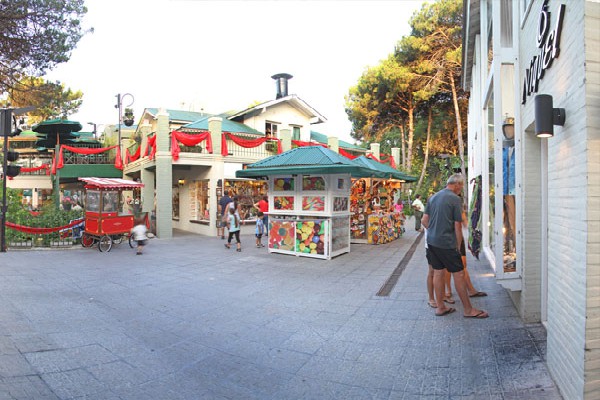 Feria del Bosque