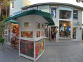 Gazebo Feria del Bosque