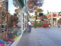 Feria del Bosque