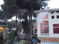 Feria del Bosque