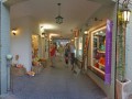 Feria del Bosque