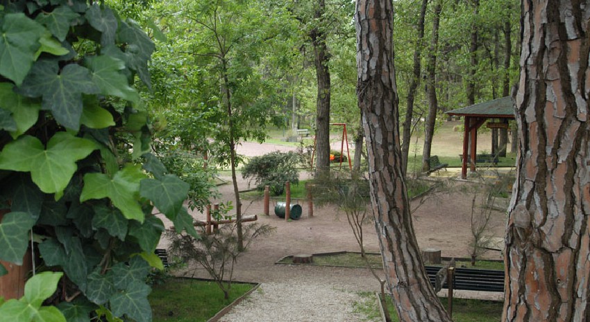 Feria del Bosque - Cariló